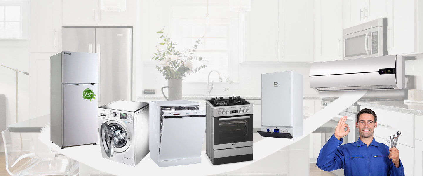 Develi Silverline Servisi